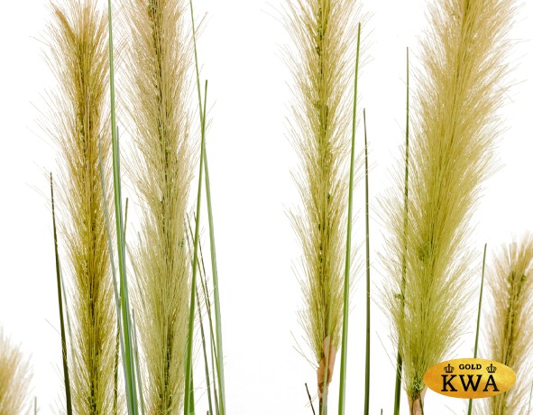 Трава Осока Элеганс куст в-90, д-30 см с зелёными султанами 2/2