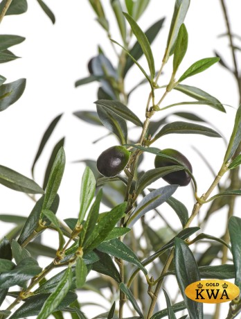 Олива Форест с плодами в-170 см 2/2