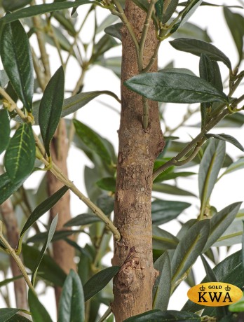 Олива Форест с плодами в-170 см 2/2