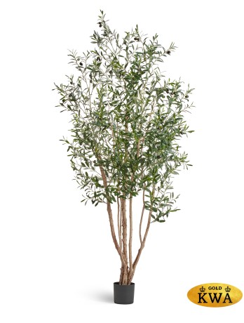 Олива Форест с плодами в-170 см 2/2