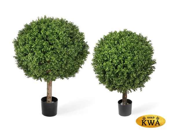 Самшит Шар уличный новый в-65, д-50х40 см 2/2