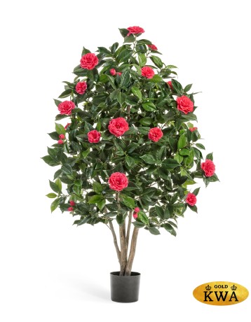 Камелия Японика тёмно-розовая в-150 см 2/2