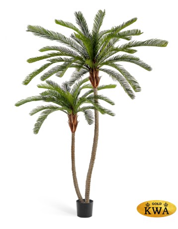 Пальма Цикас двухствольная (разборная) в-230/250 см 1/1