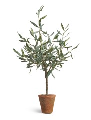 Оливковое деревце в керамическом кашпо в-85 см 1/1