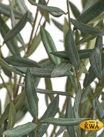 Оливковое дерево Топиари Нэйчерел (Серия Prime) в-130 см 1/1