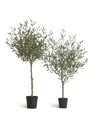 Оливковое дерево Топиари Нэйчерел (Серия Prime) в-130 см 1/1