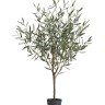 Оливковое дерево Топиари Нэйчерел (Серия Prime) в-130 см 1/1