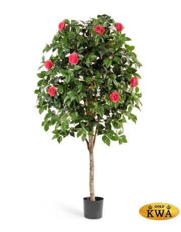 Камелия Вайн тёмно-розовая в-170 см 2/2