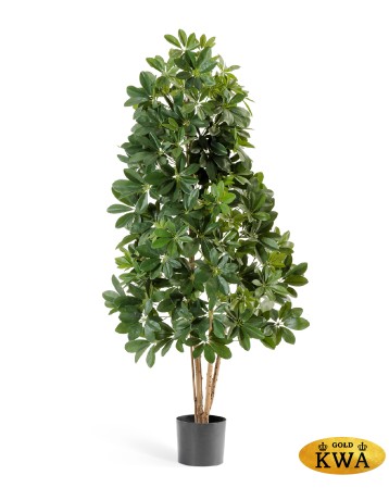 Шеффлера натуральная зелёная 140 см 2/2