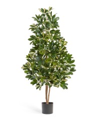 Шеффлера натуральная зелёная 140 см 2/2