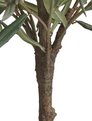 Оливковое дерево Топиари в-145 см 1/1