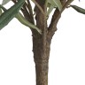 Оливковое дерево Топиари в-145 см 1/1