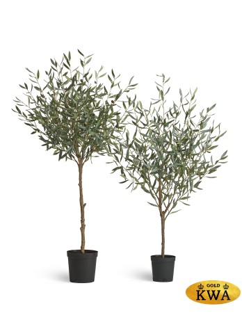 Оливковое дерево Топиари в-145 см 1/1