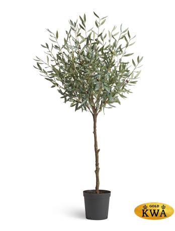 Оливковое дерево Топиари в-145 см 1/1