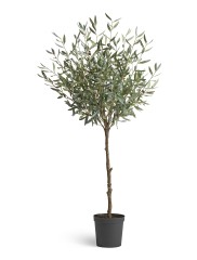 Оливковое дерево Топиари в-145 см 1/1