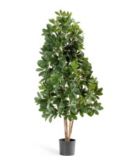 Шеффлера натуральная зелёная 170 см 2/2