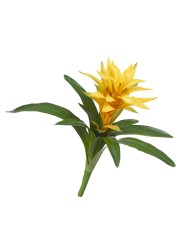 ХХХГусмания желтая большая в-40, д-55 см 8/32