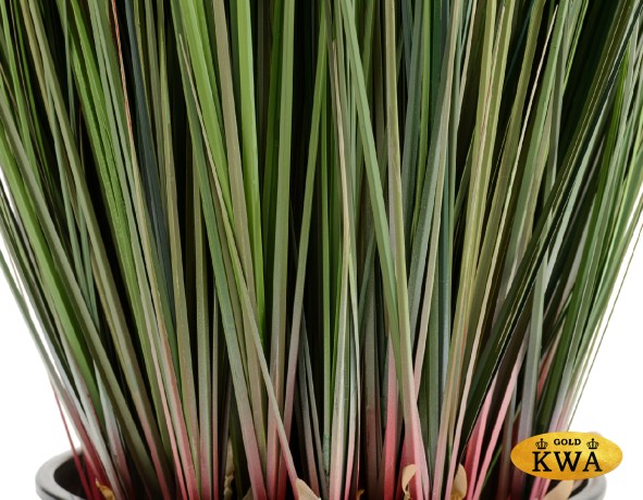 Трава Осока куст в-90 см с зелёными султанами 2/2