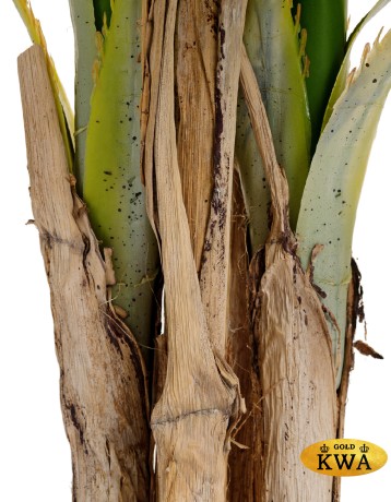 Пальма Арека Катеху де Люкс в-190 см 5 стволов 39 листов (Sensitive Botanic) 2/2