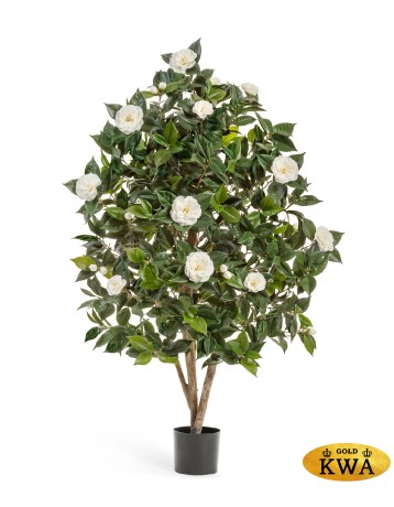 Камелия Японика кремовая 150 см 2/2