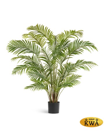 Пальма Арека Хризалидокарпус в-150 см (Sensitive Botanic) 2/2