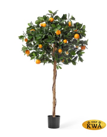 Мандарин Голден Оранж штамбовый в-120 см, д-60 см 2/2