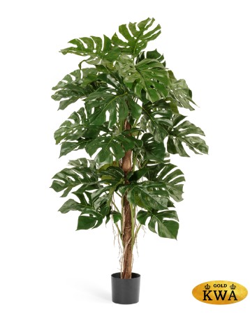 Монстера на стволе в-150 см 2/2