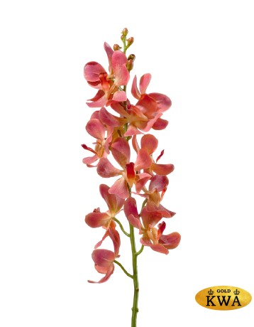 Орхидея Дендробиум кораллово-розовая 58 см 12цв 12/48