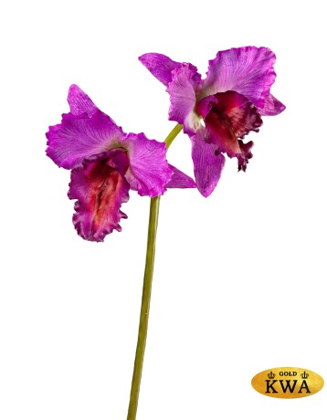 Орхидея Каттлея крупная темно-сиреневая в-42 см 2 цв (серия MDP) 12/48