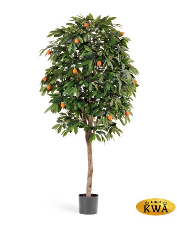 Мандарин Оранж 140 см 2/2