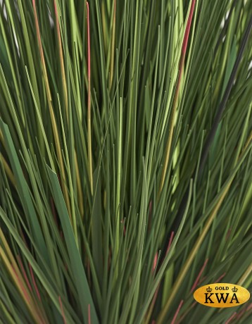 Трава Осока Горная куст в-60 см 2/4