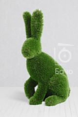 Топиари ландшафтная фигура Кролик сидячий