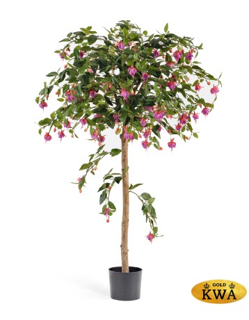 Фуксия зонтичная 140 см 2/2