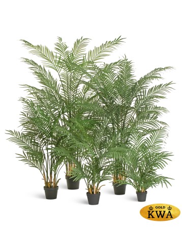 Пальма Арека Форест 110 см (15 веток) 2/2
