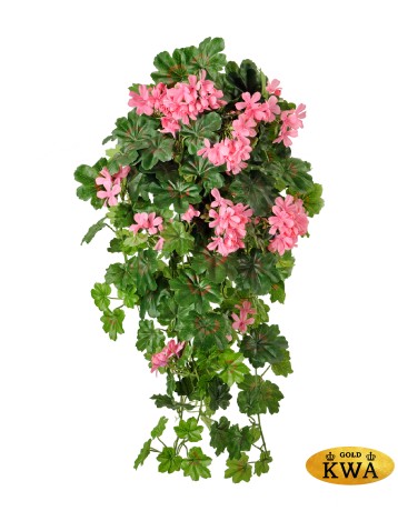 Герань ампельная ярко-розовая 65 см 6/48