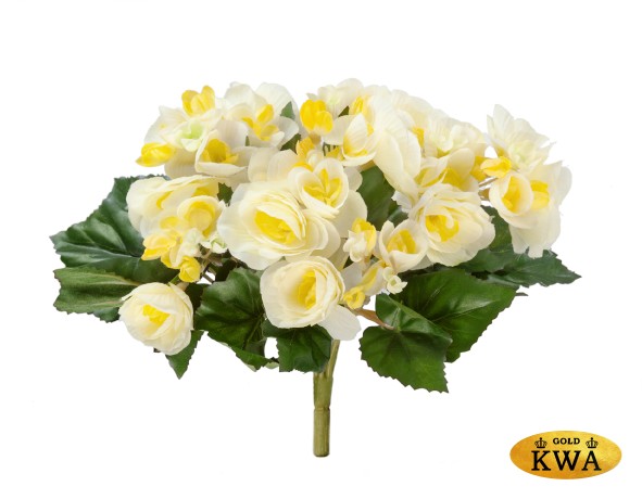 Бегония куст лимонно-жёлтый в-15 см 12/72