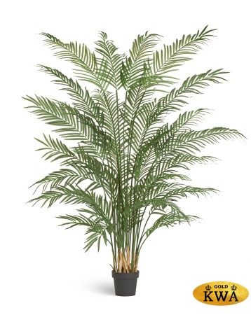 Пальма Арека Форест 200 см (34 ветки) 1/1