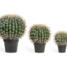 Кактус Баррель в-27, д-20 см 4/8