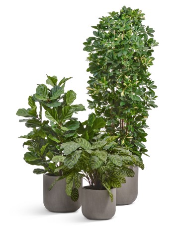 Кашпо TREEZ ERGO Just Цилиндр Мокко д-44 см, в-40 см