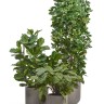 Кашпо TREEZ ERGO Just Цилиндр Мокко д-44 см, в-40 см