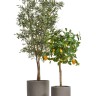 Кашпо TREEZ ERGO Just Цилиндр Мокко д-44 см, в-40 см