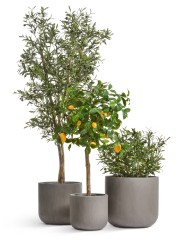 Кашпо TREEZ ERGO Just Цилиндр Мокко д-44 см, в-40 см