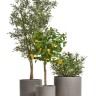 Кашпо TREEZ ERGO Just Цилиндр Мокко д-44 см, в-40 см
