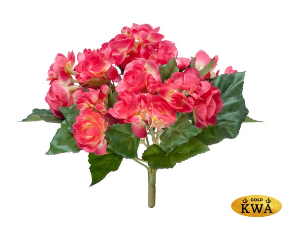 Бегония куст бордово-жёлтый в-15 см 12/72