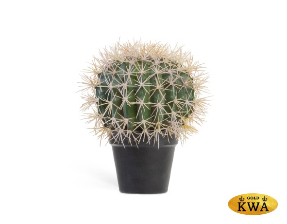 Кактус Баррель в-35, д-25 см 1/4