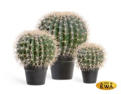 Кактус Баррель в-35, д-25 см 1/4