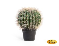 Кактус Баррель в-35, д-25 см 1/4