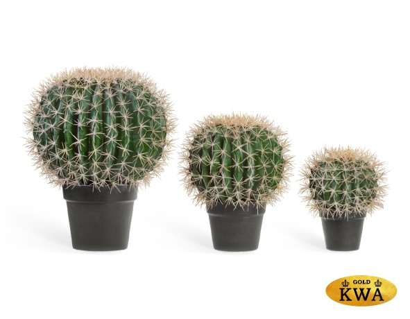 Кактус Баррель в-35, д-25 см 1/4