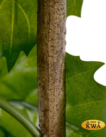 Тетрастигма ветвь де Люкс интерьерная в- 220 см 3/6