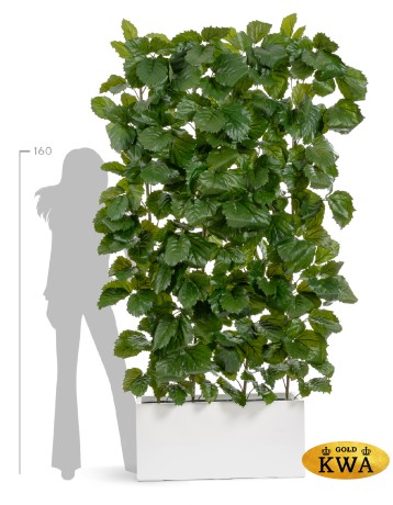 Тетрастигма ветвь де Люкс интерьерная в- 220 см 3/6